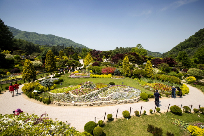 Garden Of Morning Calm Nami Island Petite France Tour Iamyourguide